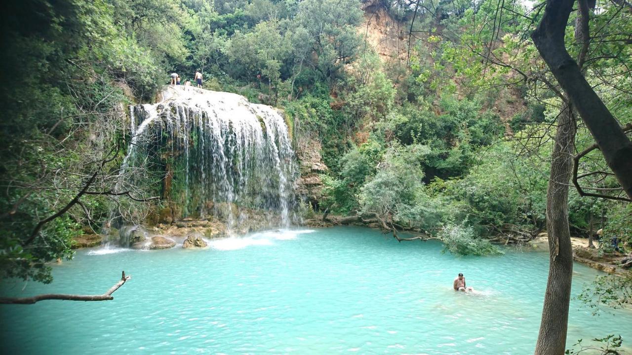 La Villa Aux Oliviers Flayosc Kültér fotó